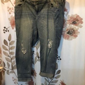 Torrid 24 short jeans/capris